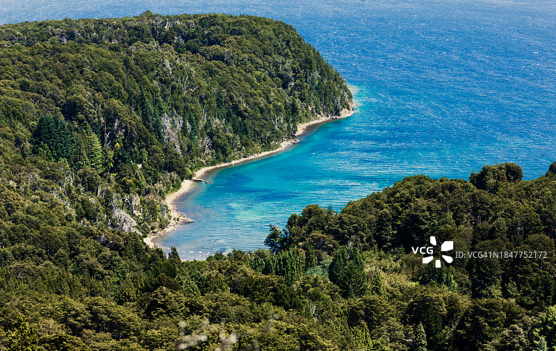 海边树木高角度景观图片素材