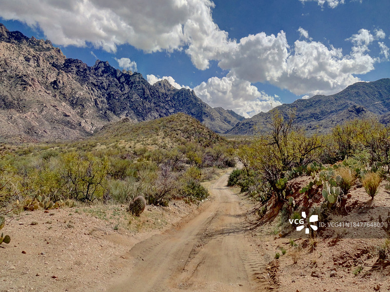 亚利桑那州风景图片素材