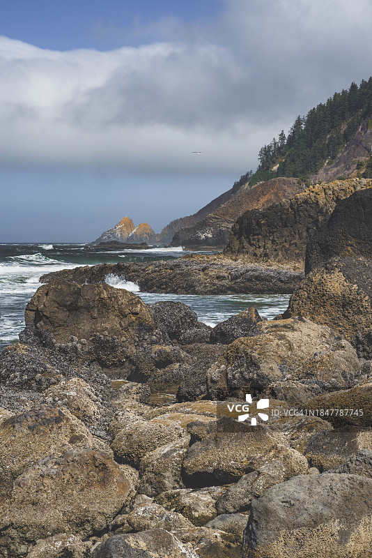 大海天空美景，美国华盛顿州印第安海滩图片素材