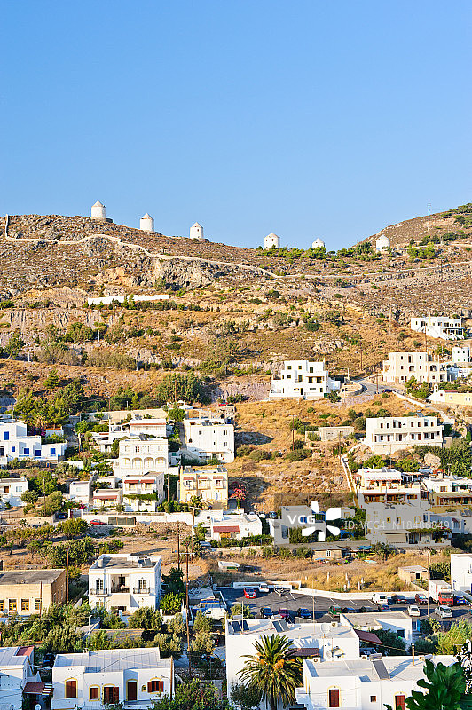 悬铃木细节图片素材
