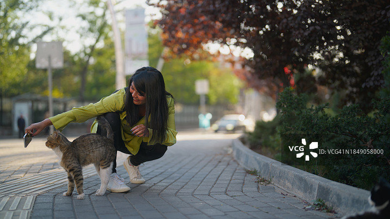多民族女游客在城市街道用手机拍摄流浪猫图片素材