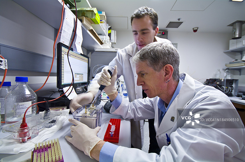 科学家们正在为凝胶电泳实验装载蛋白质。图片素材