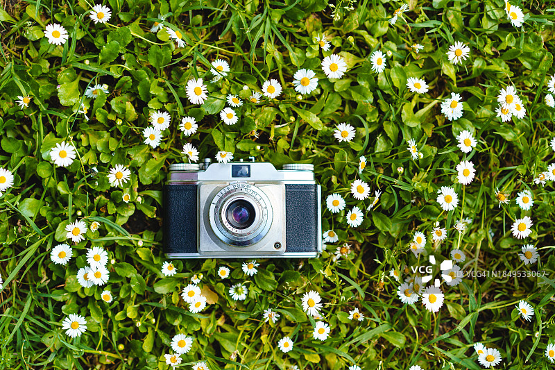 俯视角度：雏菊花绿色背景上的老式胶片相机图片素材