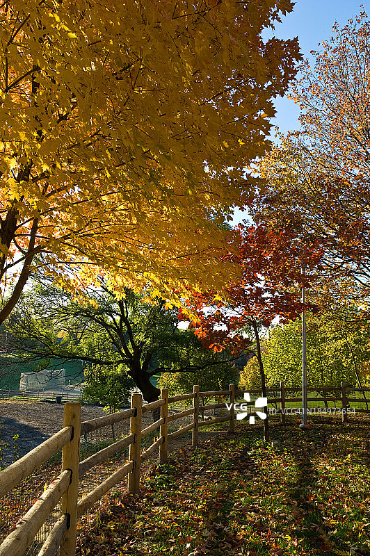 安大略秋景图片素材