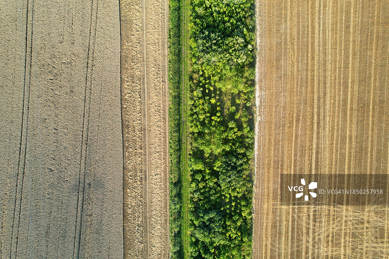 农田鸟瞰图图片素材