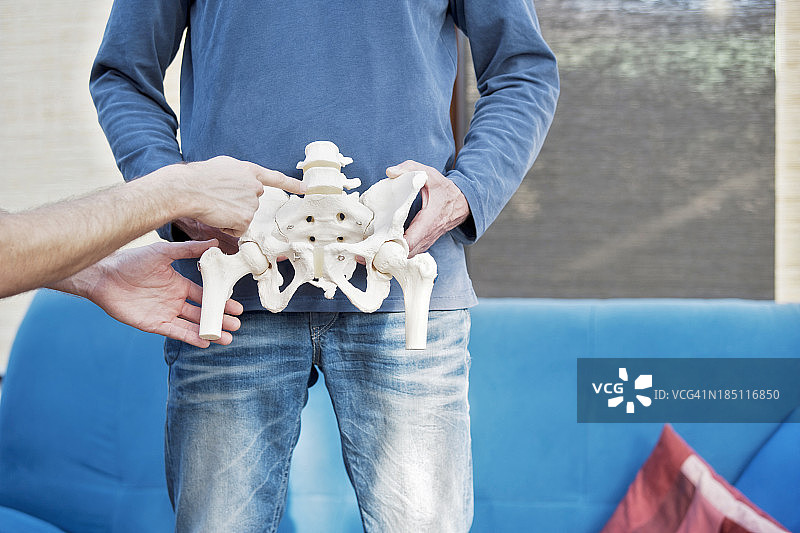 人的骨盆图片素材