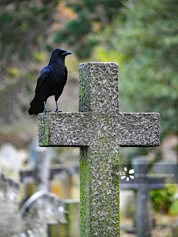 英国伦敦布朗普顿公墓：墓碑上的王冠图片素材