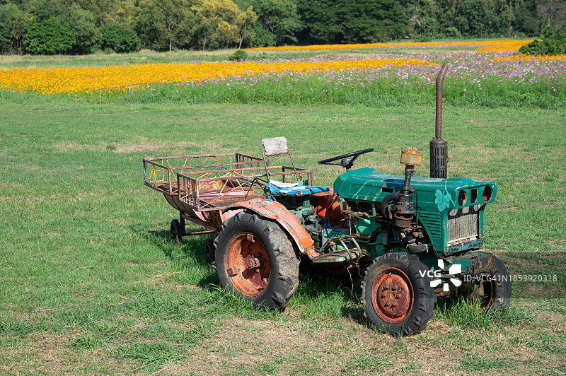 鲜花盛开的农场附近的旧拖拉机公园图片素材