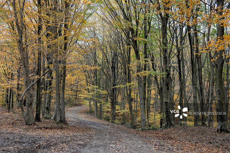土耳其伊斯坦布尔的秋色图片素材