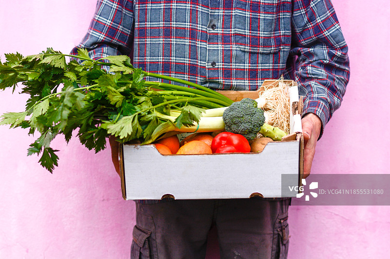 配送新鲜蔬菜的有机食品购物者图片素材