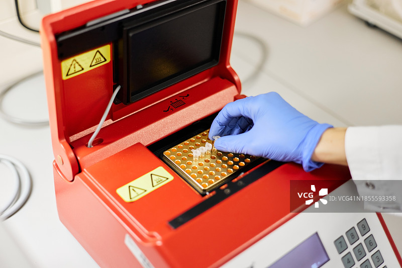 研究人员将PCR管放在热循环仪上进行DNA扩增图片素材