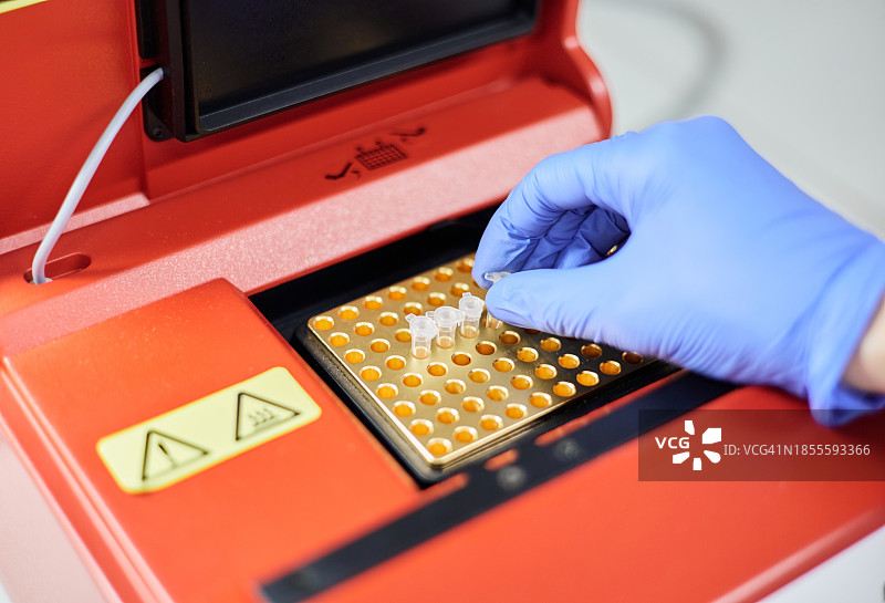 研究人员将PCR管放在热循环仪上进行DNA扩增图片素材