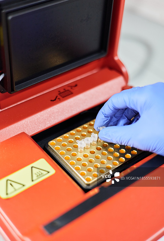 研究人员将PCR管放在热循环仪上进行DNA扩增图片素材