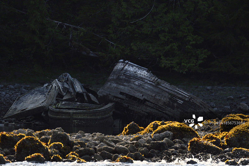 托菲诺附近阿尔伯尼-克莱奥阔特地区的沉船图片素材