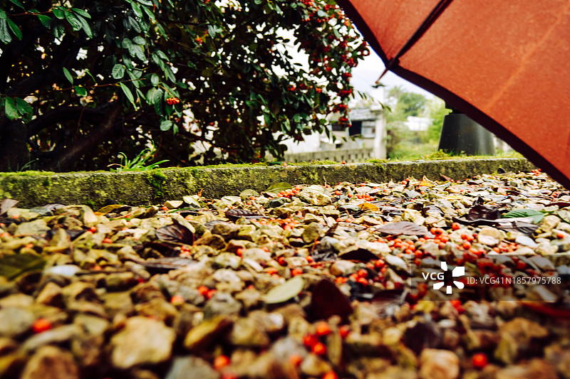 放在地上的红色雨伞图片素材