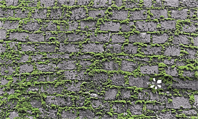 老石墙图片素材