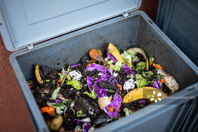 家用堆肥机：蚯蚓堆肥过程图片素材