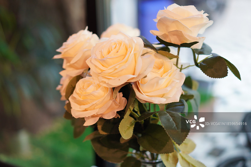 粉色玫瑰图片素材