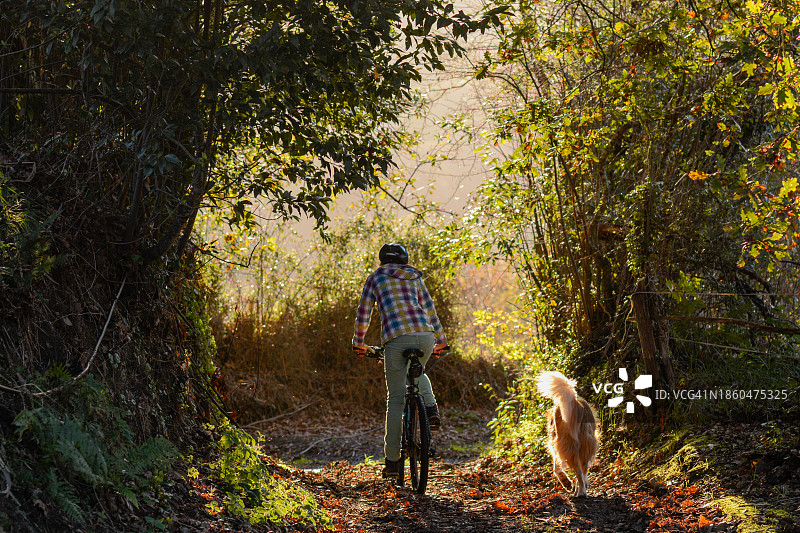 秋天骑自行车载狗的女子背影图片素材