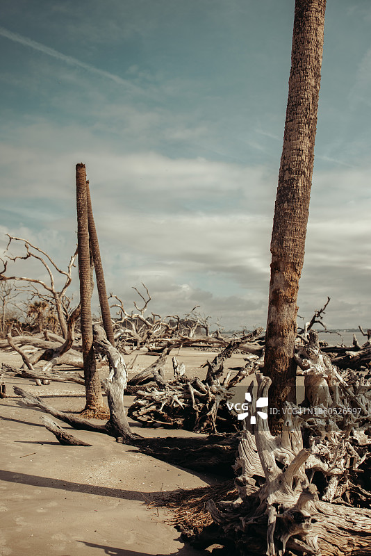海岸恢复力：倾斜景观中的垂直感图片素材