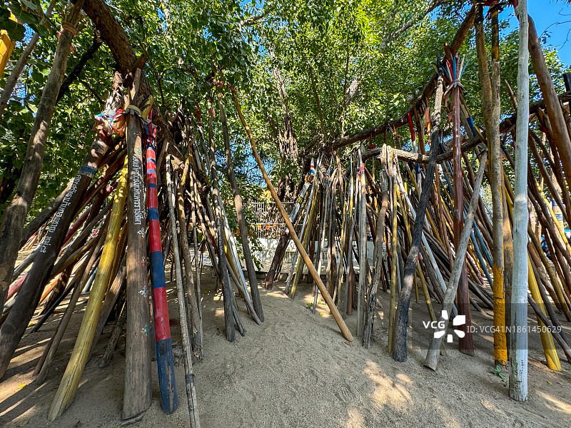 帕拉特兰邦銮寺的菩提树图片素材