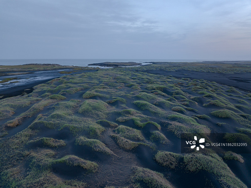 黑色沙滩上的草图片素材