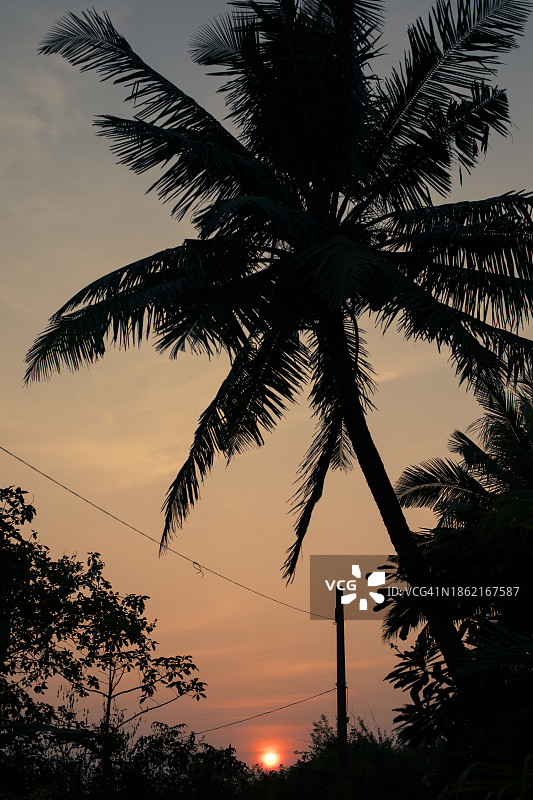 果阿邦康多林海滩风光图片素材