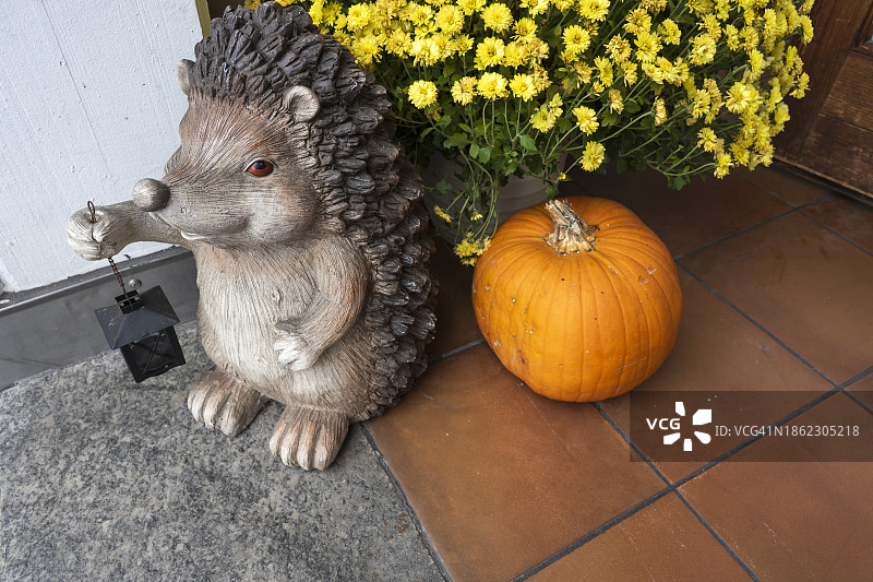 秋天的木制刺猬和南瓜图片素材