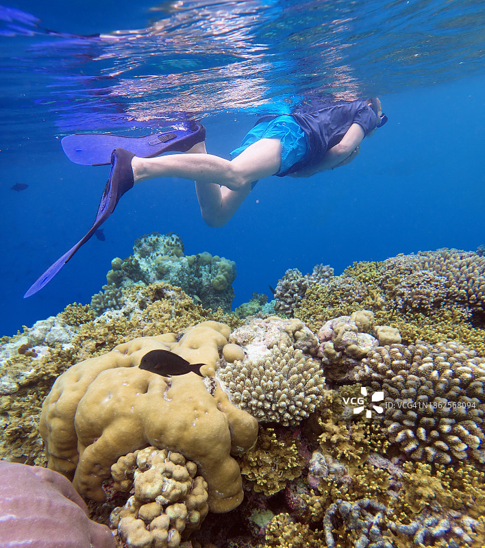在马尔代夫珊瑚礁上浮潜的年长男人图片素材