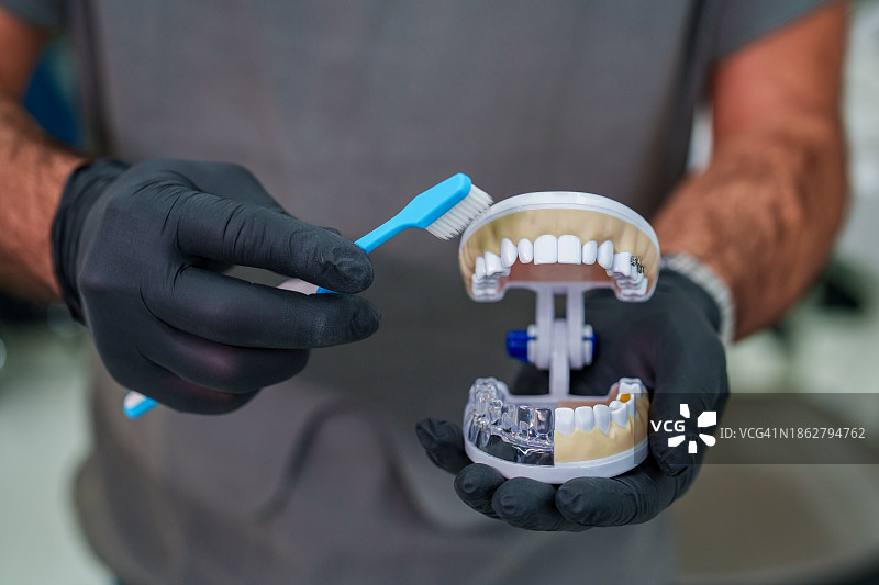 医生在颌骨模型上示范刷牙图片素材