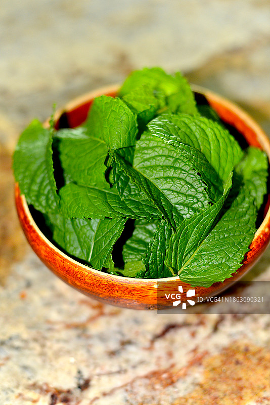 新鲜薄荷叶特写图片素材