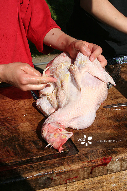 鸡肉加工图片素材