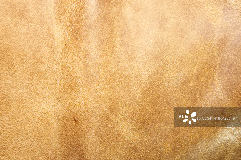 金色皮革背景纹理高分辨率全画幅拍摄图片素材