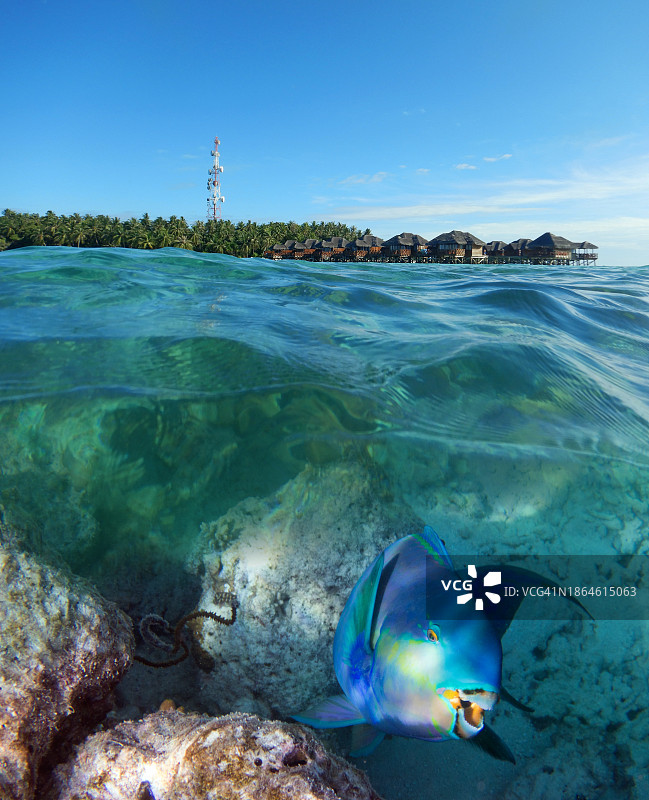 菲哈后岛热带泻湖错层景观图片素材