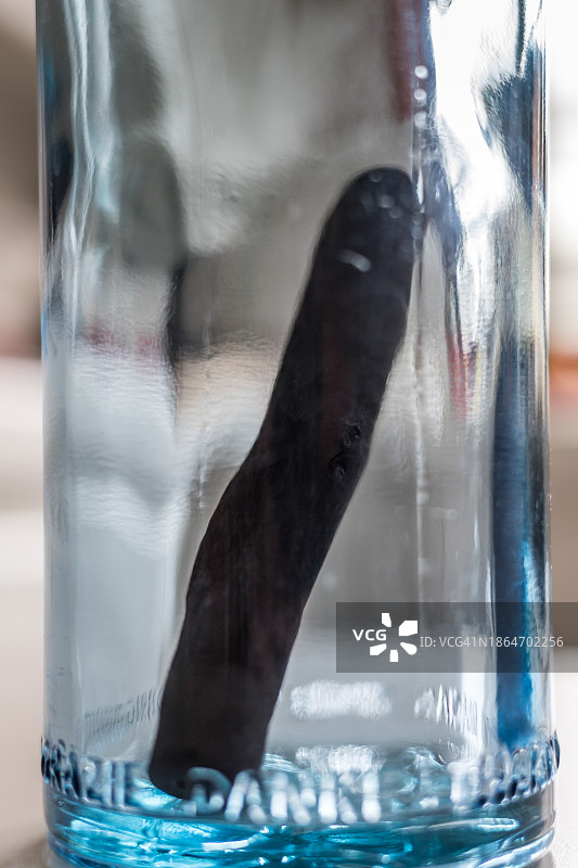 瓶子上用于过滤水的木炭特写图片素材