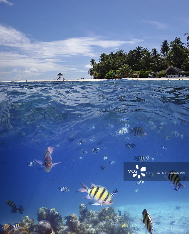 马尔代夫菲哈后岛水上水下分层景观图片素材