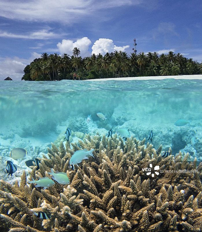 马尔代夫菲哈后岛和热带泻湖的错层景观图片素材