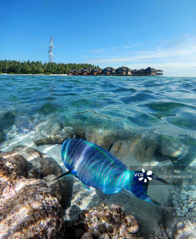 马尔代夫菲哈后岛和热带泻湖的错层景观图片素材