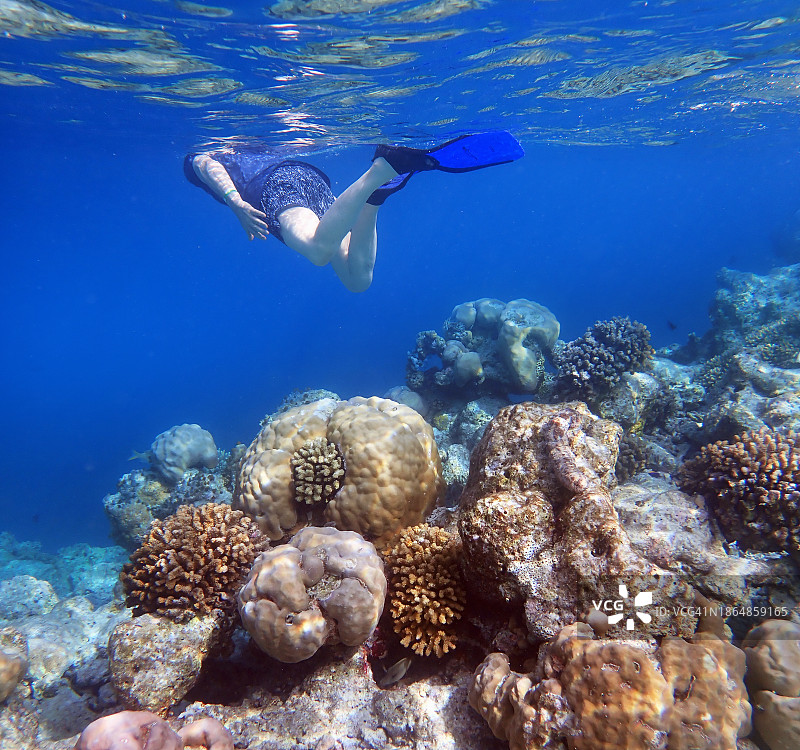 在马尔代夫泻湖浮潜的年长男人图片素材