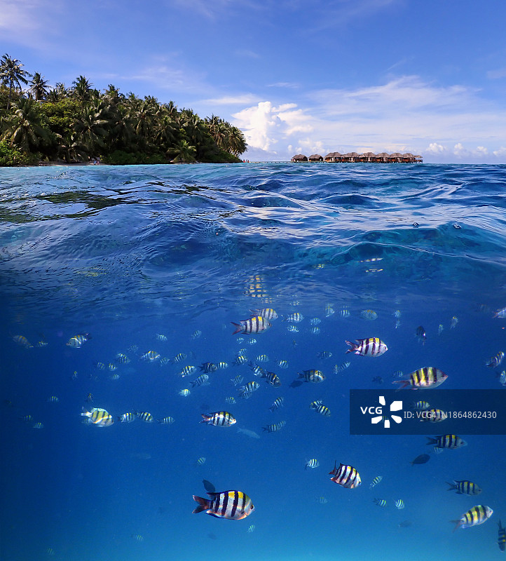 菲哈后岛珊瑚礁和茂密热带森林的分层景观图片素材