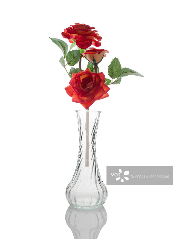 在透明玻璃花瓶中盛开的美丽浪漫的橙红色玫瑰，隔离在白色背景上。花朵自然美丽，是幸福的象征，代表着爱，表达着爱。图片素材