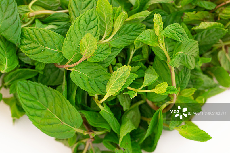 白色背景上的薄荷特写图片素材