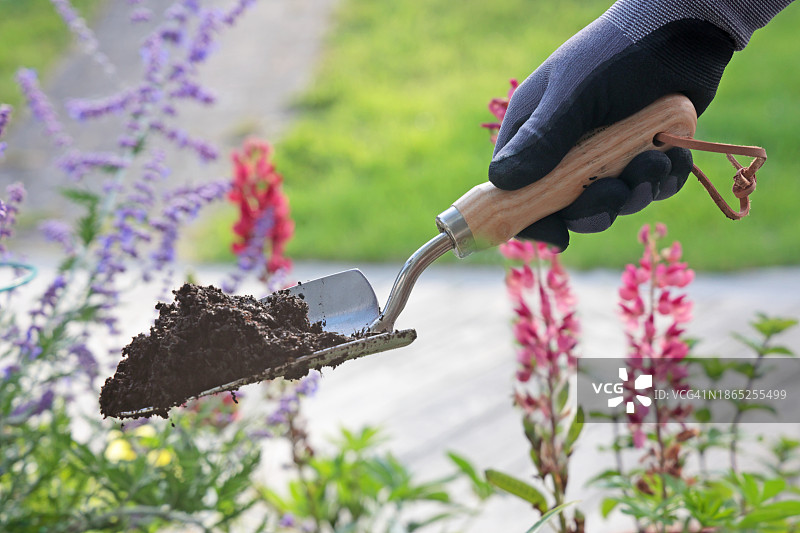 花园里的泥铲图片素材