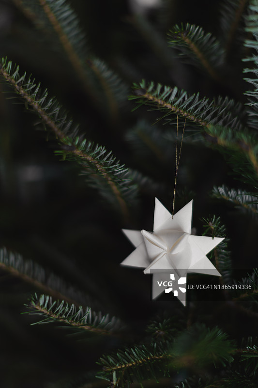 圣诞树上悬挂的白色手工摩拉维亚星装饰品图片素材