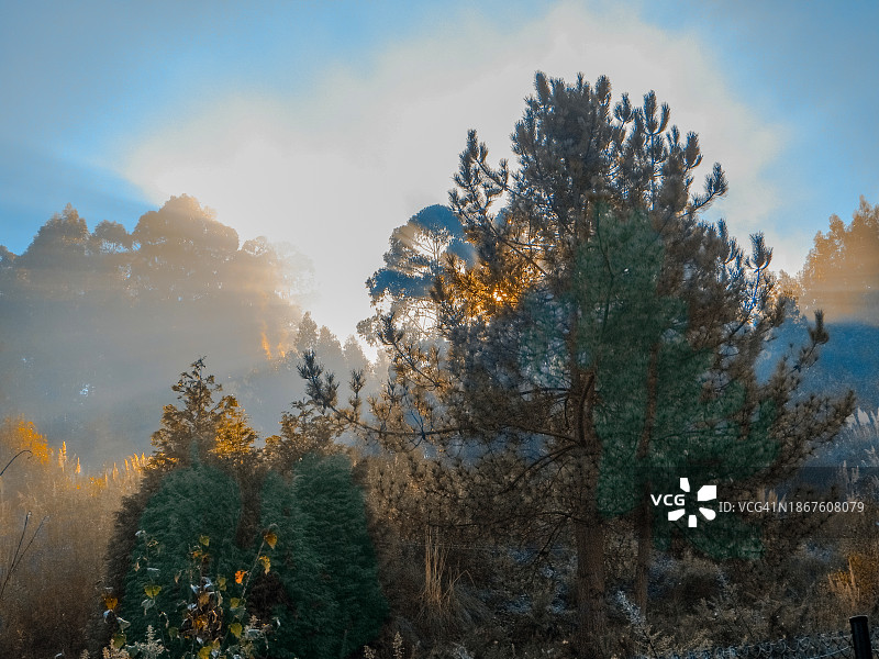 秋天的颜色图片素材