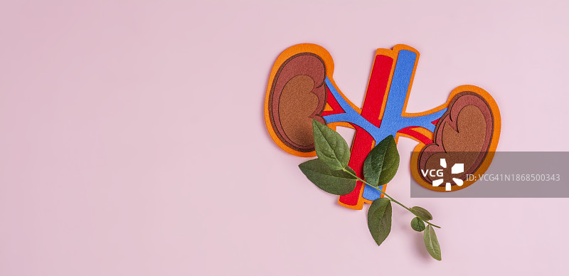 彩色背景上的装饰品特写图片素材