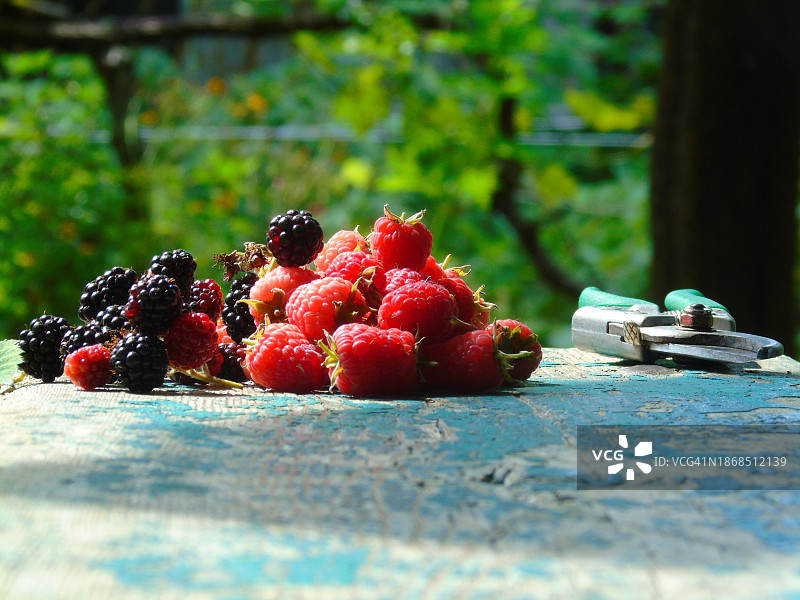 桌上的浆果特写图片素材