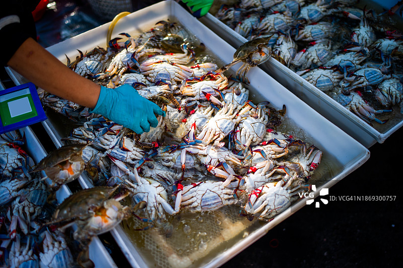 海鲜市场出售的螃蟹图片素材