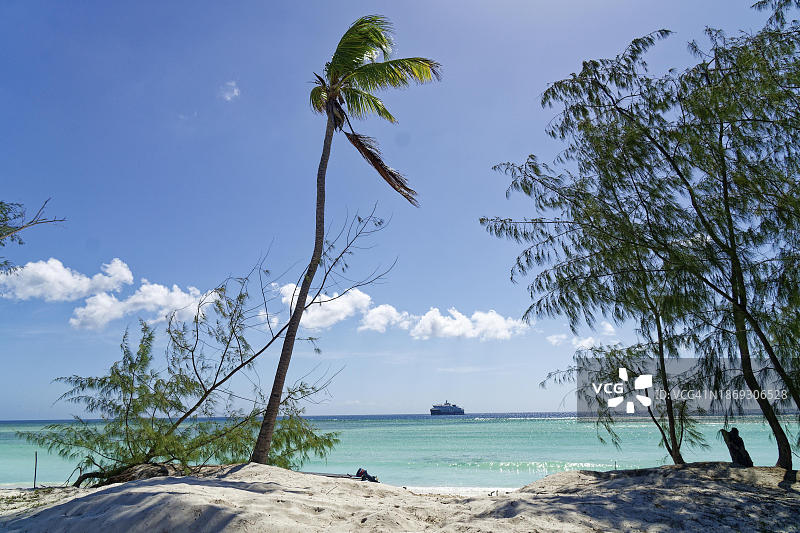 塞舌尔阿尔达布拉环礁的棕榈树、海滩和背景中的SH Diana号游轮图片素材