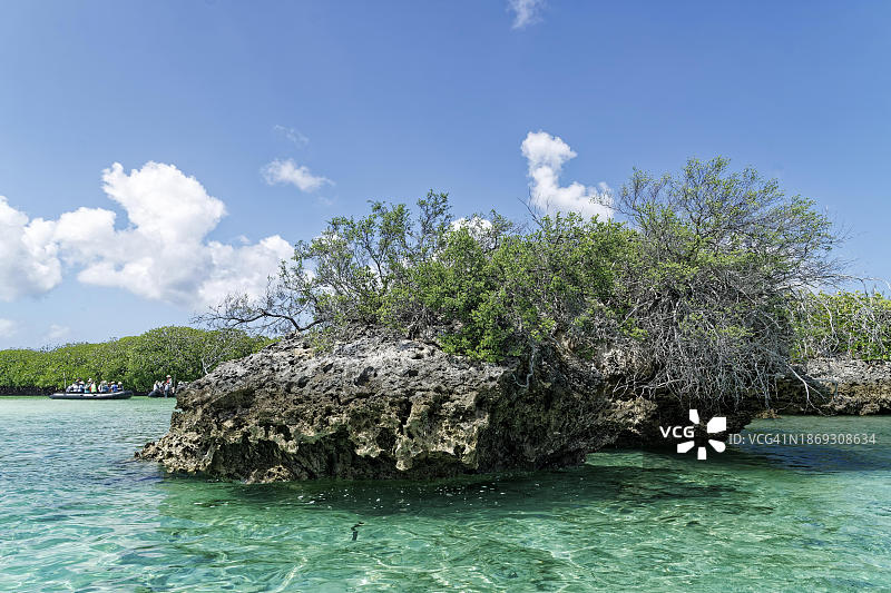 非洲塞舌尔阿尔达布拉环礁的蘑菇岩石、红树林和载有游客的 Zodiac 充气船图片素材